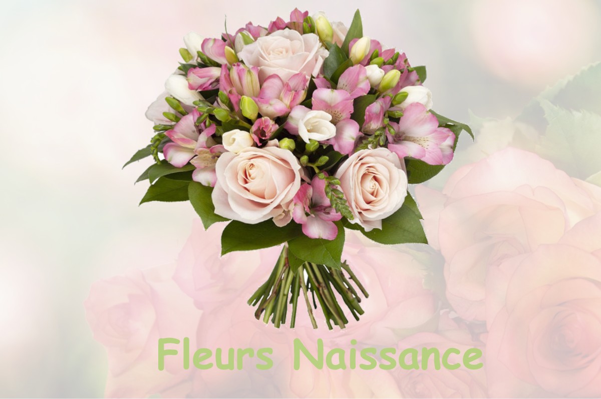 fleurs naissance VAULT-DE-LUGNY